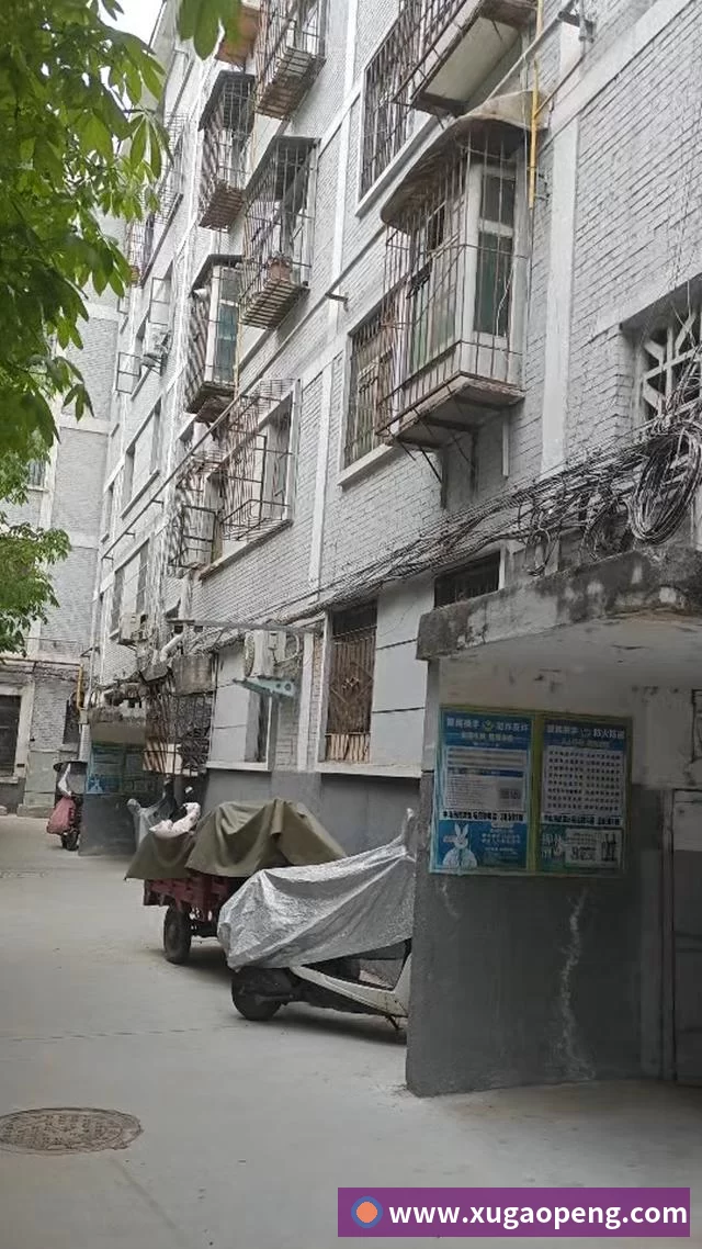 AI高校“阳光跑” 实现阳光跑计时、计圈，判断成绩有效性; 自助式开展，不依赖APP，